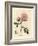 Pink Dog Rose with Rosehip, Rosa Canina-James Sowerby-Framed Giclee Print