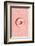 Pink Doughnut-1x Studio III-Framed Photographic Print