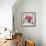 Pink Elegance I-James Guilliam-Framed Giclee Print displayed on a wall