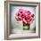 Pink Elegance I-James Guilliam-Framed Giclee Print