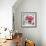 Pink Elegance I-James Guilliam-Framed Giclee Print displayed on a wall