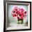 Pink Elegance I-James Guilliam-Framed Giclee Print