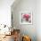 Pink Elegance I-James Guilliam-Framed Giclee Print displayed on a wall