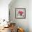 Pink Elegance I-James Guilliam-Framed Giclee Print displayed on a wall