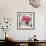 Pink Elegance I-James Guilliam-Framed Giclee Print displayed on a wall