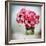 Pink Elegance I-James Guilliam-Framed Giclee Print