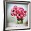 Pink Elegance I-James Guilliam-Framed Giclee Print