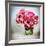 Pink Elegance I-James Guilliam-Framed Giclee Print