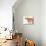 Pink Elephant II-Janice Gaynor-Premium Giclee Print displayed on a wall