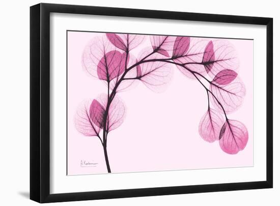 Pink Eucalyptus-Albert Koetsier-Framed Premium Giclee Print