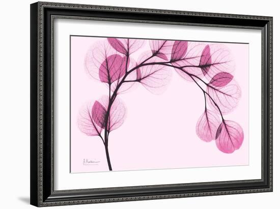 Pink Eucalyptus-Albert Koetsier-Framed Art Print