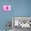 Pink Explosion I-Susan Bryant-Photographic Print displayed on a wall