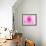 Pink Explosion I-Susan Bryant-Framed Photographic Print displayed on a wall