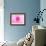 Pink Explosion I-Susan Bryant-Framed Photographic Print displayed on a wall