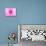 Pink Explosion I-Susan Bryant-Mounted Photographic Print displayed on a wall