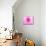 Pink Explosion I-Susan Bryant-Mounted Photographic Print displayed on a wall