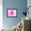 Pink Explosion I-Susan Bryant-Framed Photographic Print displayed on a wall