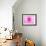 Pink Explosion I-Susan Bryant-Framed Photographic Print displayed on a wall