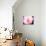 Pink Explosion II-Susan Bryant-Photographic Print displayed on a wall