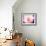 Pink Explosion II-Susan Bryant-Framed Photographic Print displayed on a wall