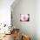 Pink Explosion II-Susan Bryant-Mounted Photographic Print displayed on a wall