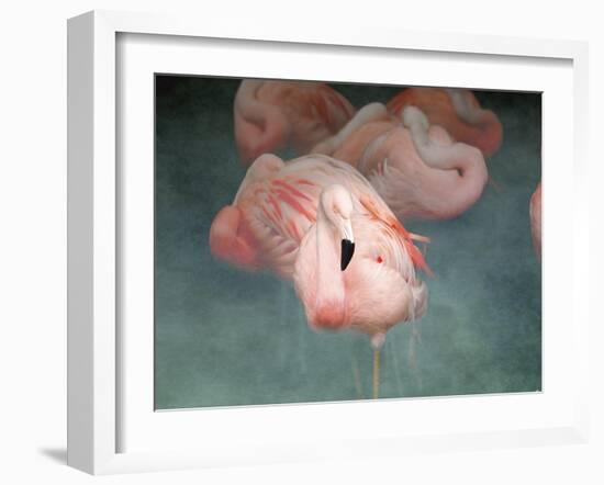 Pink Flamingo 1-Jai Johnson-Framed Giclee Print