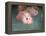 Pink Flamingo 1-Jai Johnson-Framed Premier Image Canvas