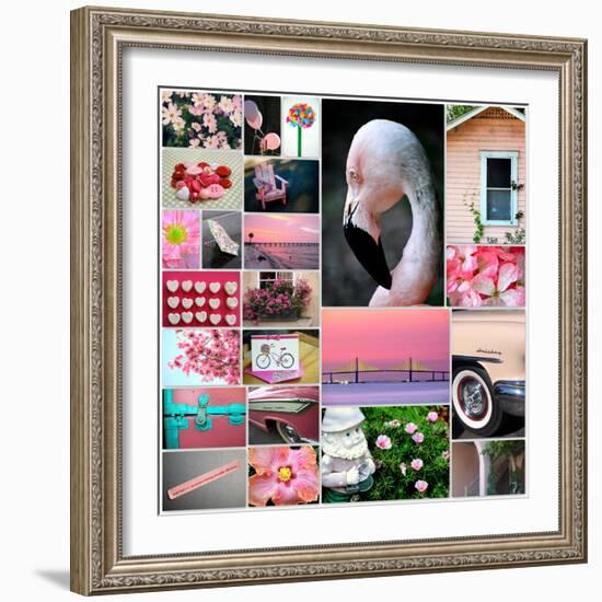 Pink Flamingo Collage-Gail Peck-Framed Photo