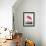 Pink Flamingo Ii from Birds of America (1827)-John James Audubon-Framed Giclee Print displayed on a wall