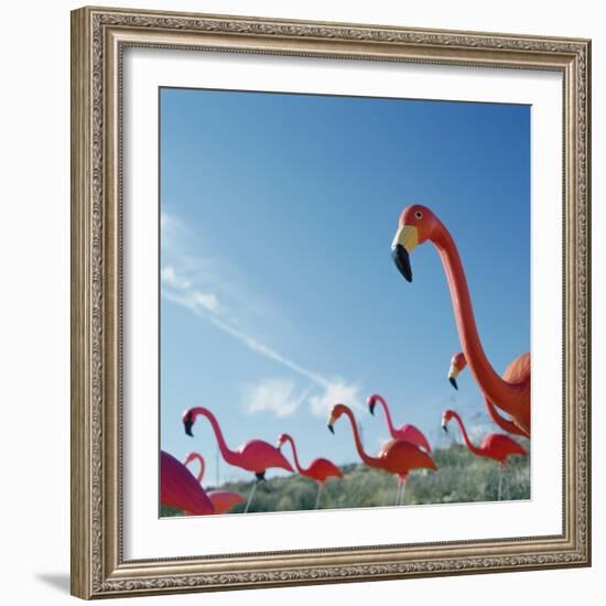 Pink flamingo lawn ornaments-null-Framed Photographic Print