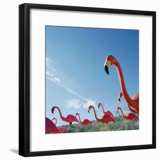 Pink flamingo lawn ornaments-null-Framed Photographic Print