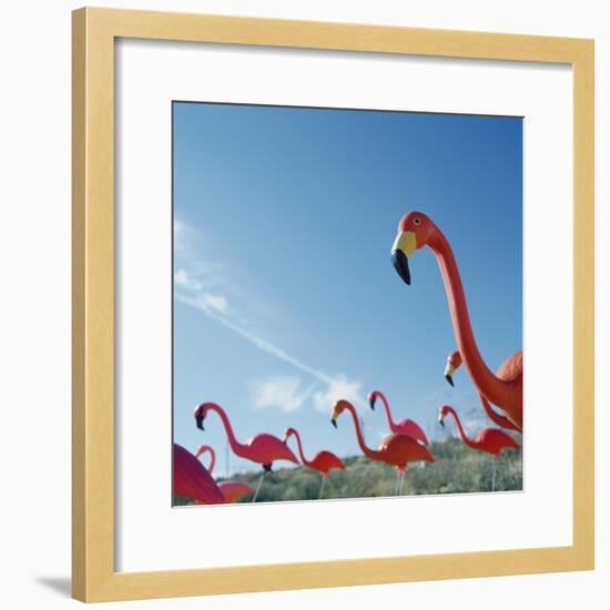 Pink flamingo lawn ornaments-null-Framed Photographic Print