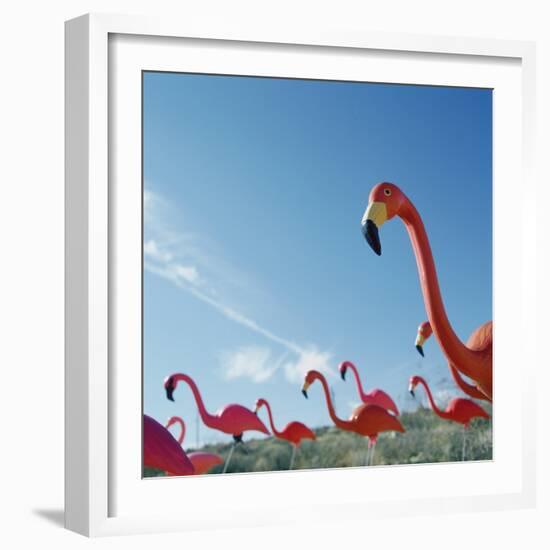 Pink flamingo lawn ornaments-null-Framed Photographic Print