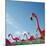 Pink flamingo lawn ornaments-null-Mounted Photographic Print