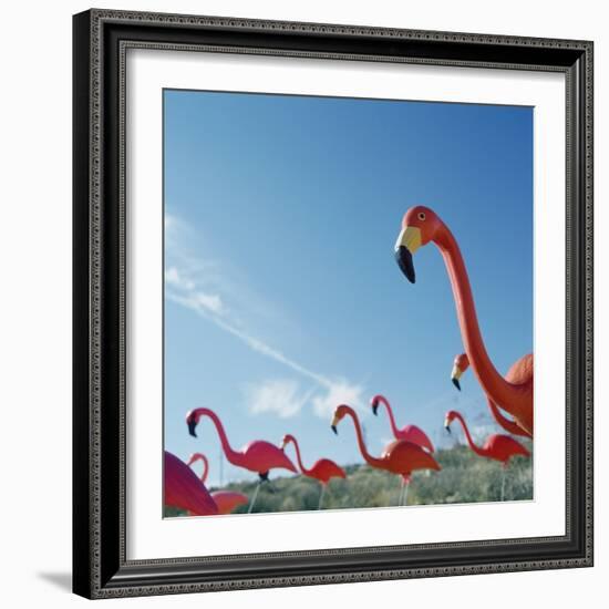 Pink flamingo lawn ornaments-null-Framed Photographic Print