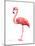 Pink Flamingo-Suren Nersisyan-Mounted Art Print