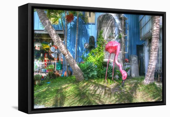 Pink Flamingo-Robert Goldwitz-Framed Premier Image Canvas