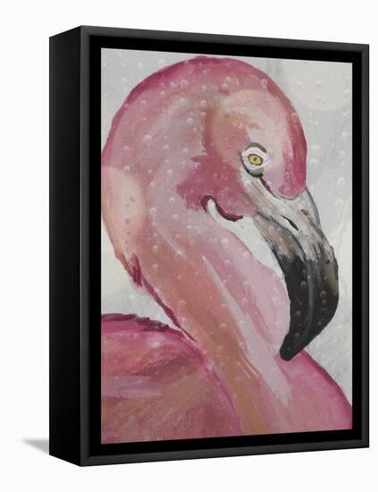 Pink Flamingo-Karen Williams-Framed Premier Image Canvas