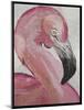 Pink Flamingo-Karen Williams-Mounted Giclee Print