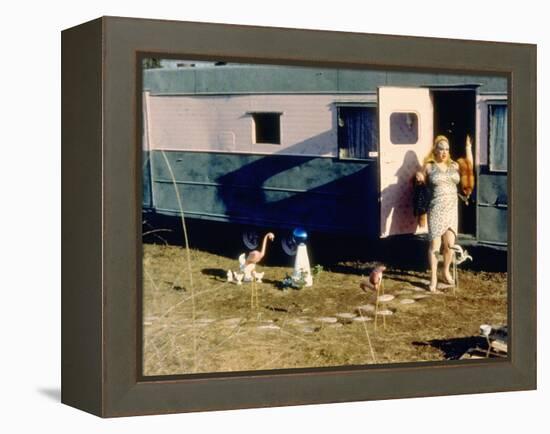 Pink Flamingos, Divine, 1972-null-Framed Stretched Canvas