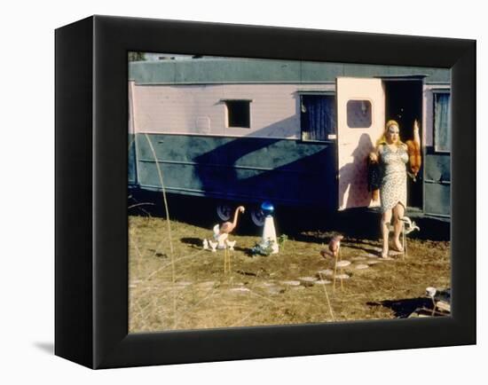 Pink Flamingos, Divine, 1972-null-Framed Stretched Canvas