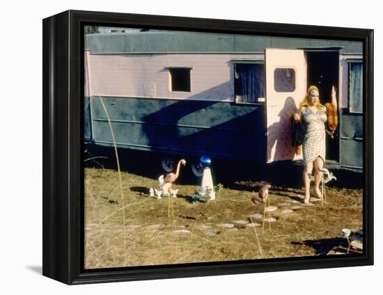 Pink Flamingos, Divine, 1972-null-Framed Stretched Canvas