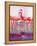 "Pink Flamingos,"January 29, 1938-Francis Lee Jaques-Framed Premier Image Canvas