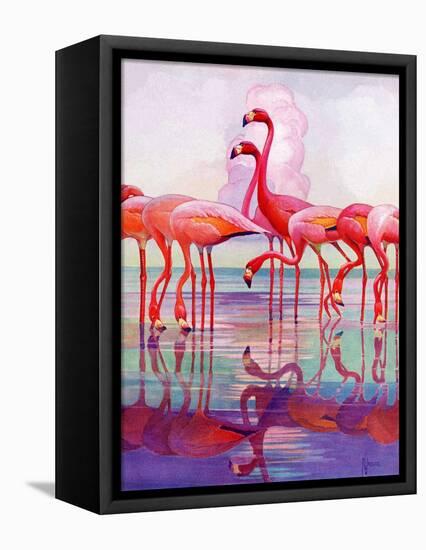 "Pink Flamingos,"January 29, 1938-Francis Lee Jaques-Framed Premier Image Canvas