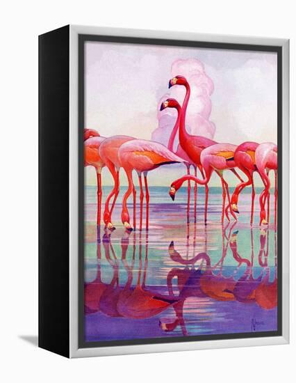 "Pink Flamingos,"January 29, 1938-Francis Lee Jaques-Framed Premier Image Canvas