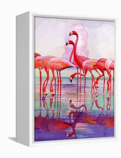 "Pink Flamingos,"January 29, 1938-Francis Lee Jaques-Framed Premier Image Canvas