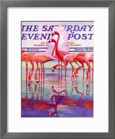 Pink Flamingos Saturday Evening Post Cover January 29 1938