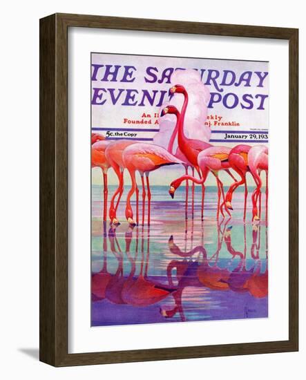 "Pink Flamingos," Saturday Evening Post Cover, January 29, 1938-Francis Lee Jaques-Framed Giclee Print