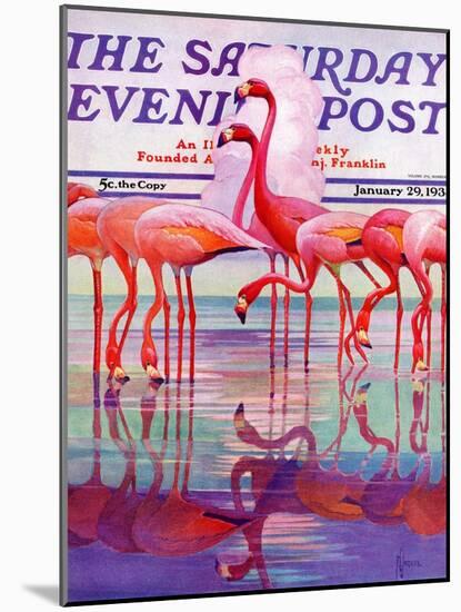 "Pink Flamingos," Saturday Evening Post Cover, January 29, 1938-Francis Lee Jaques-Mounted Giclee Print