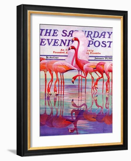 "Pink Flamingos," Saturday Evening Post Cover, January 29, 1938-Francis Lee Jaques-Framed Giclee Print